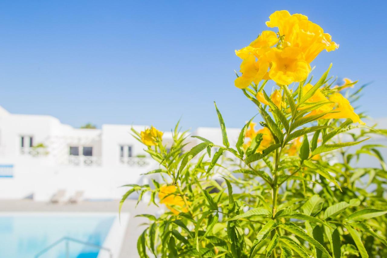 פלאיה הונדה Flower Beach Suite 6 מראה חיצוני תמונה
